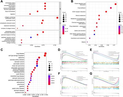 Identification of the diagnostic genes and immune cell infiltration characteristics of gastric cancer using bioinformatics analysis and machine learning